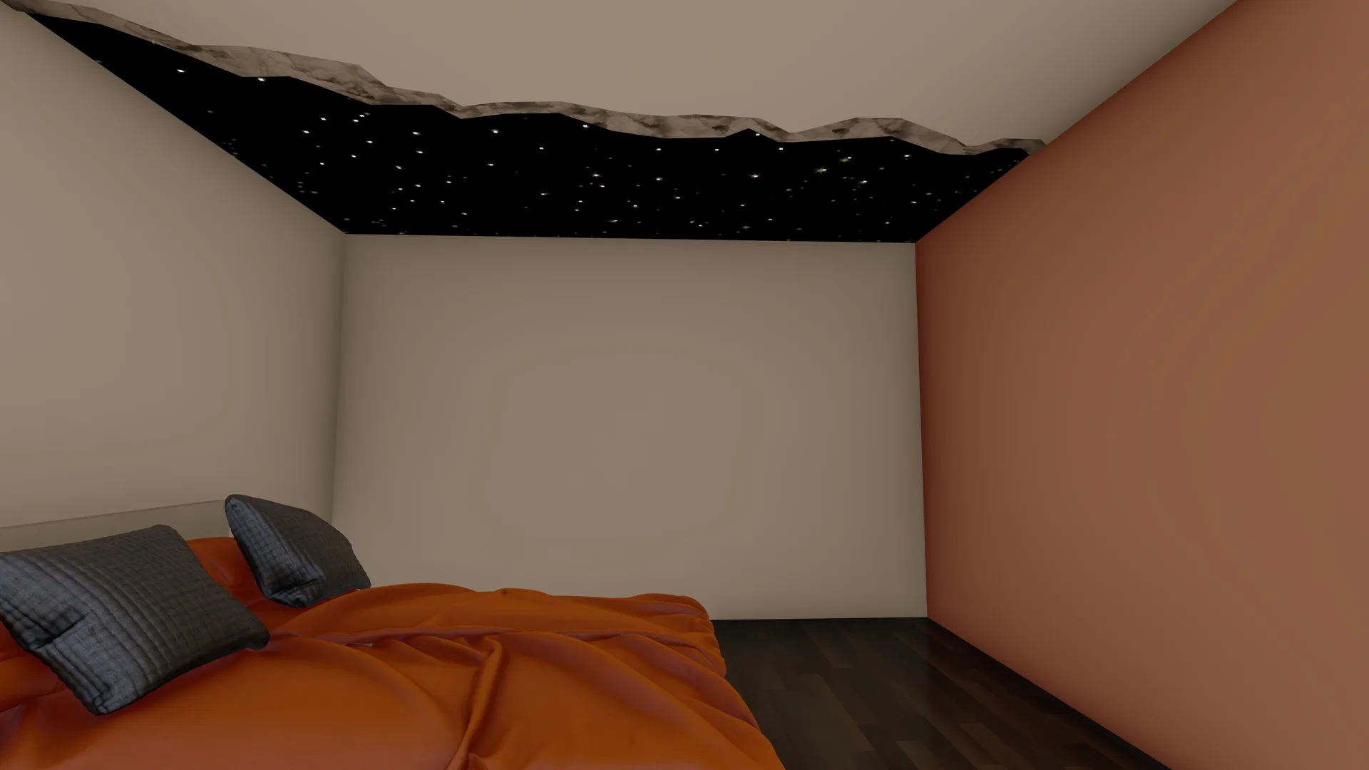 29 Project Starlight — view 1